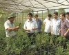 Hội làm vườn và trang trại TP. Hồ Chí Minh - 20 năm xây dựng và phát triển
